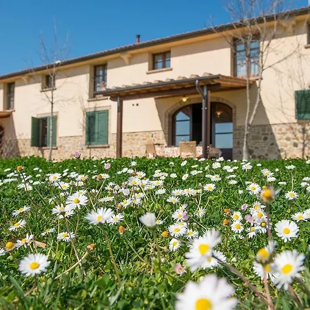 Biologico Diacceroni Farm stay Villamagna (Pisa)